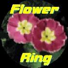 The Flower Ring Home
