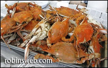 maryland crab feast